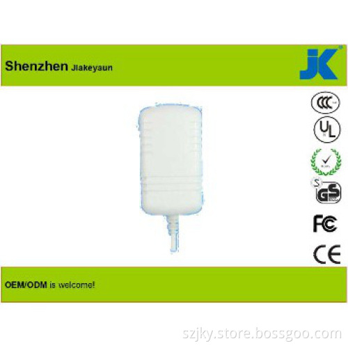 memory card adapter 12V0.5A ,Various Plugs are Available
